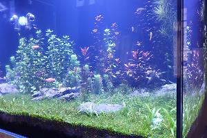 Reefer 170 on Sep 13, 2019