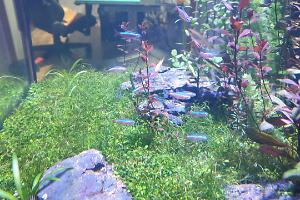 Reefer 170 on Sep 14, 2019