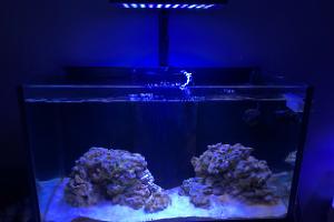 Jordans Reef on Oct 6, 2019