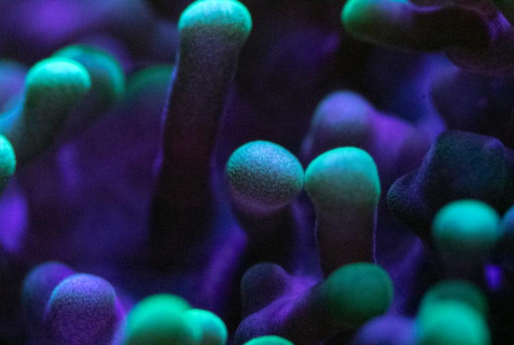 My Aquarium on November 1, 2019