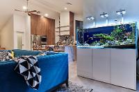 d2's Planted Tank Adventurama on November 20, 2019