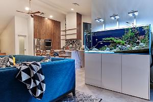 d2's Planted Tank Adventurama on November 20, 2019