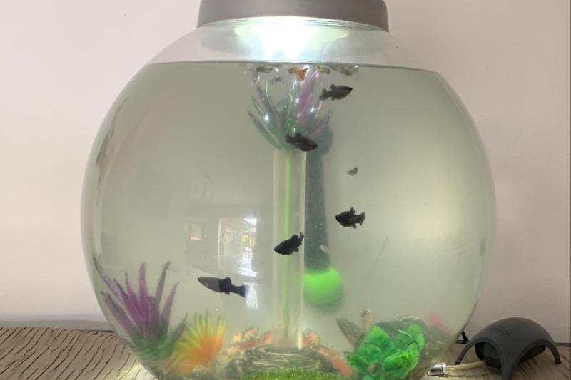 Biobab 30L circle Thumbnail