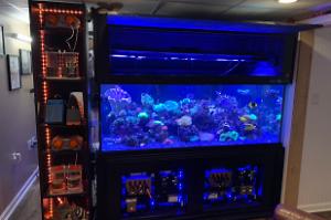 300 Reef Thumbnail