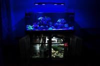 FTS July 18, 2013