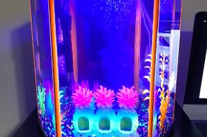 TOOKIES GLO FISH Thumbnail