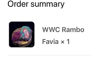WWC Rambo Favia Thumbnail