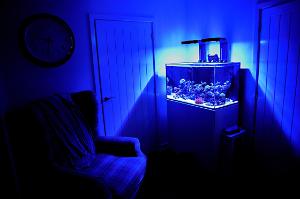 Reefer 250 Thumbnail