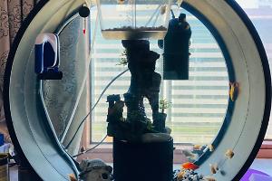 Round Aquarium  Thumbnail