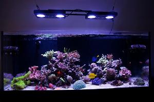 FTS August 11, 2013