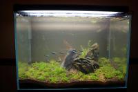 FTS August 11, 2013