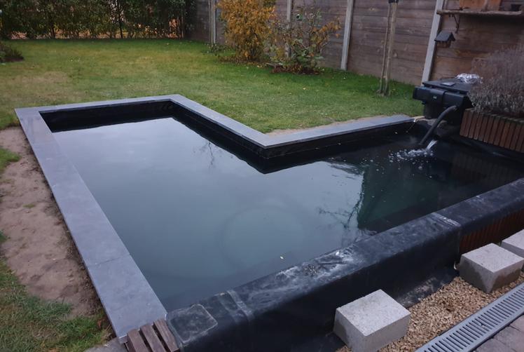 My Pond on Dec 21, 2020