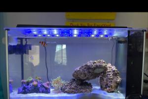 Spec V Aquarium Thumbnail