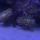 Family Reef on Aug 30, 2019