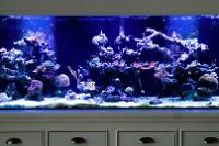 Florida Reef on October 17, 2021