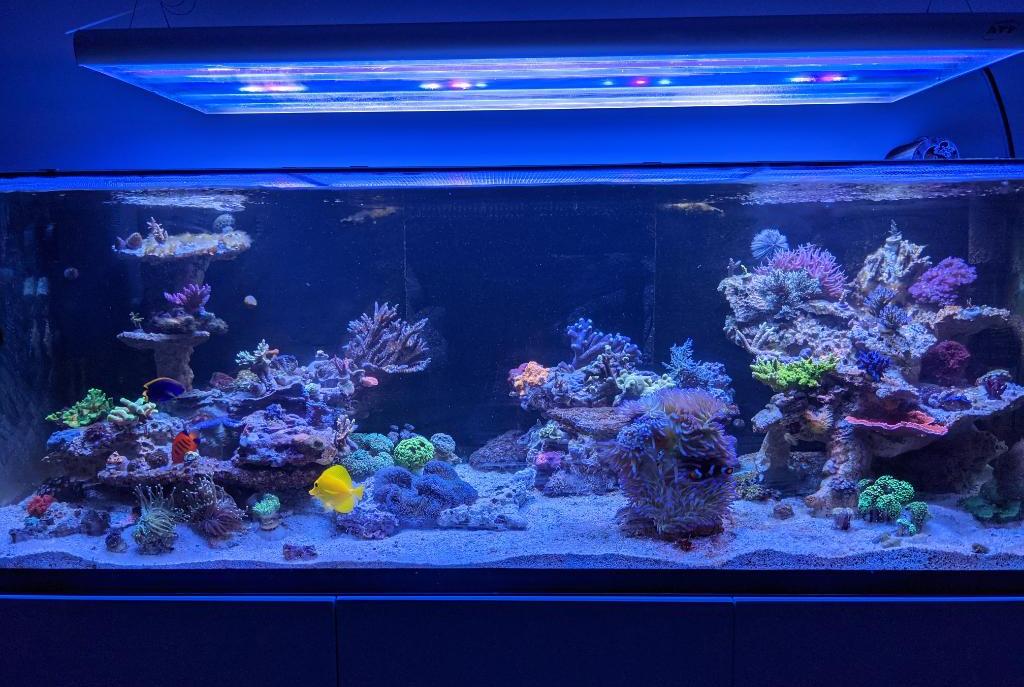 Waterbox on November 5, 2021