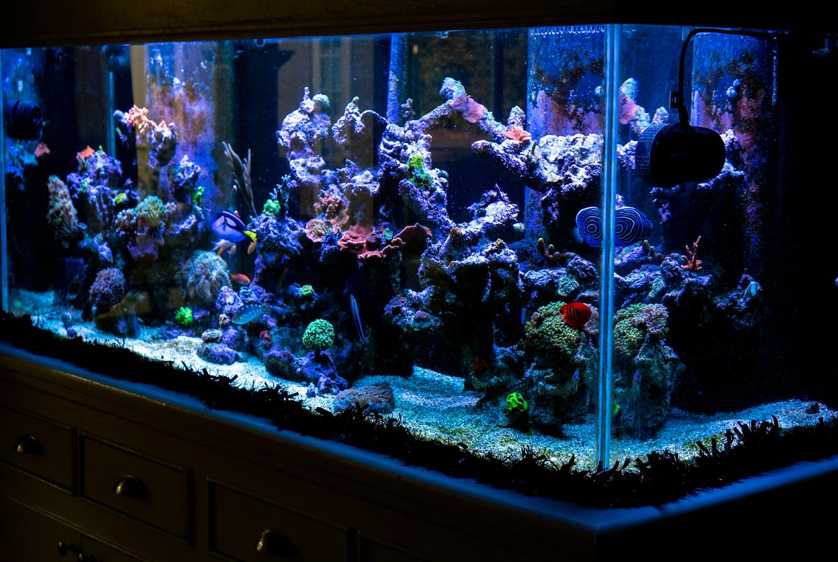Florida Reef on November 30, 2021