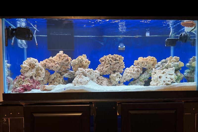 My Aquarium Thumbnail
