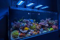 Treasure Reef on February 2, 2022