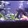 Green Forest on May 10, 2020