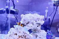 My Aquarium on Feb 28, 2022