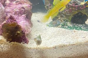 My Aquarium on Jun 3, 2022