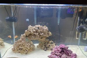 My Aquarium on Jun 3, 2022