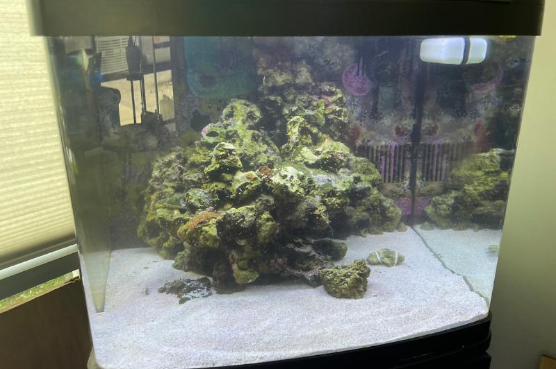 Ron’s BioCube Thumbnail
