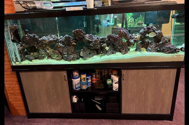 Leanna’s Saltwater Aquarium  Thumbnail