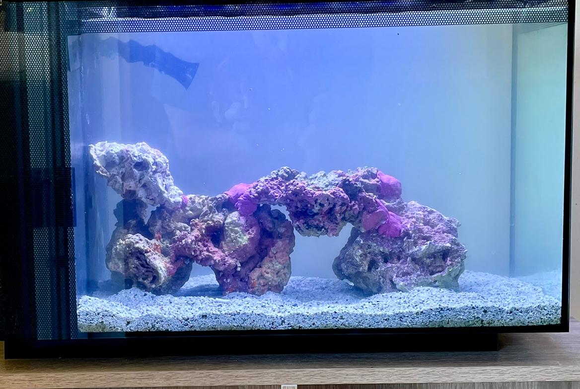 Fluval Evo 13.5 on Sep 18, 2022