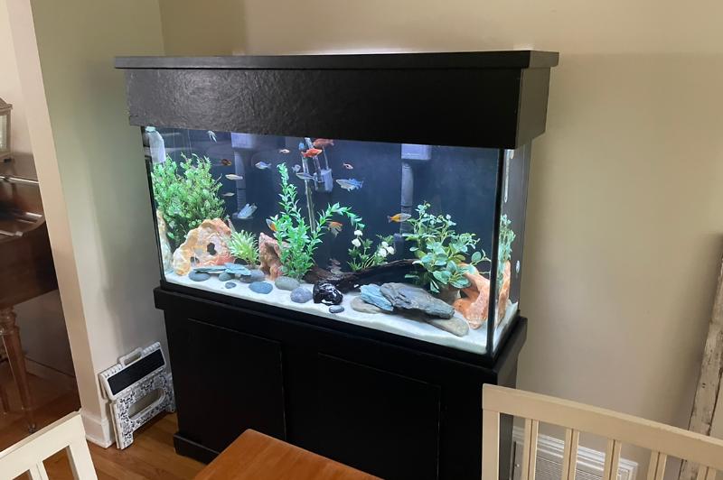 Lori’s Lagoon Thumbnail