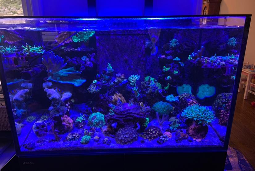 Bot’s Reef on Oct 12, 2022