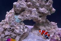My Aquarium on Nov 30, 2022