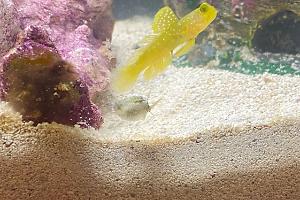 My Aquarium on Nov 30, 2022