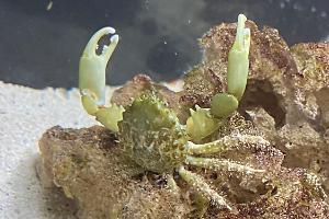 My Aquarium on Nov 30, 2022