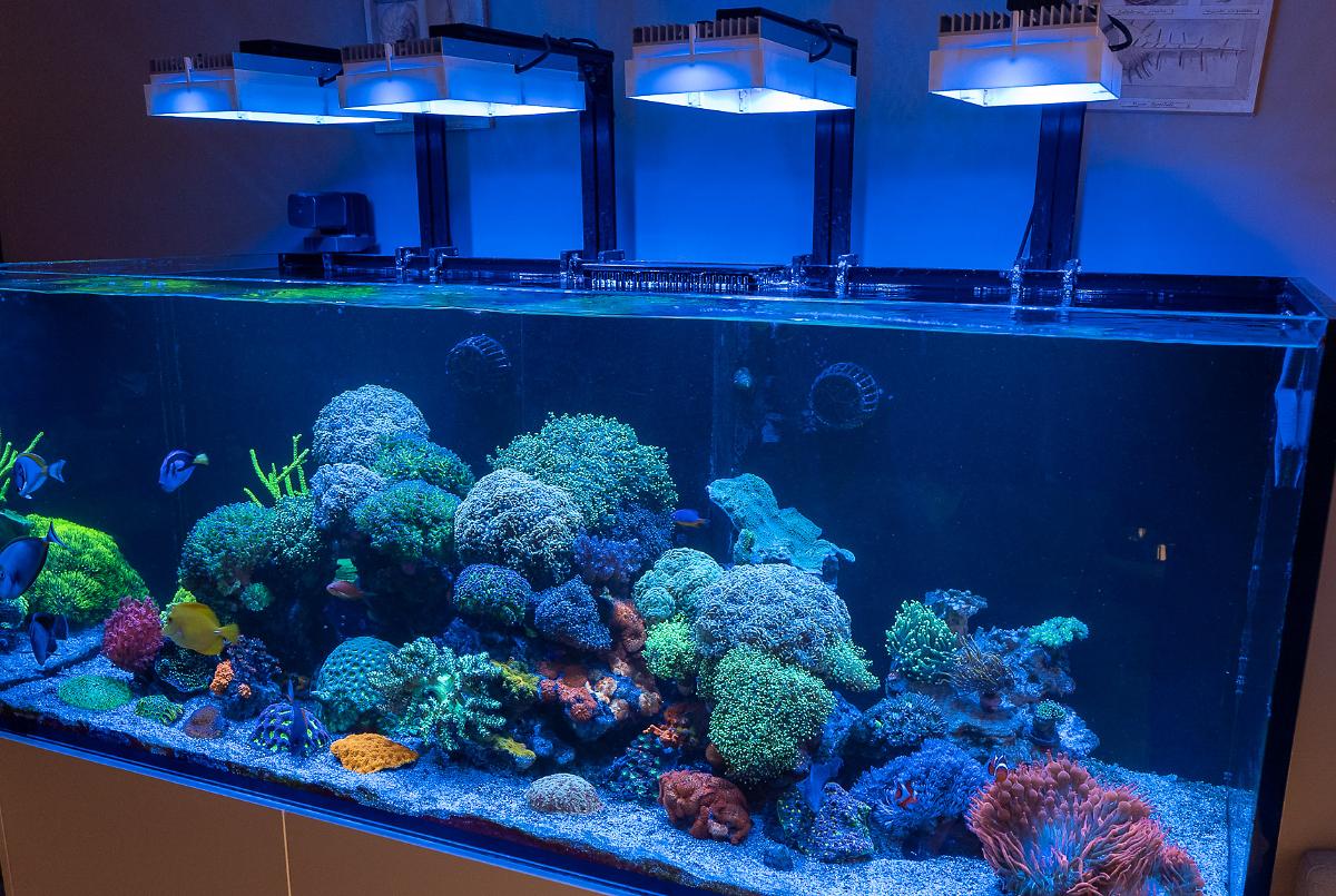 Treasure Reef on December 29, 2022