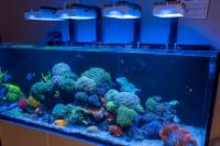Treasure Reef on December 29, 2022