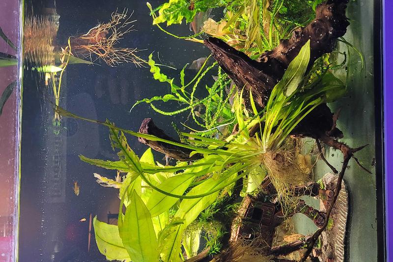 WaterBox 33G Front Office. Thumbnail