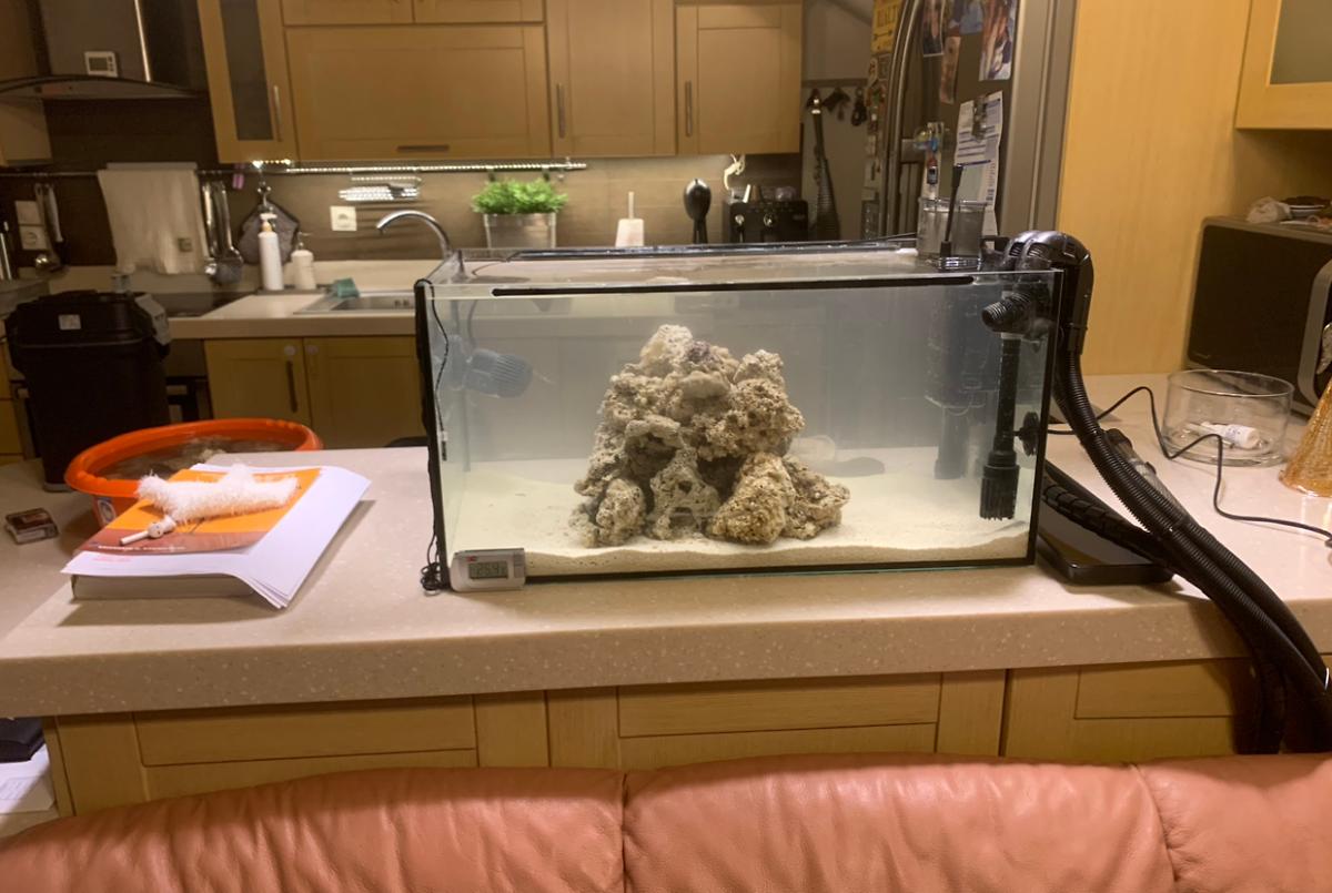 My Aquarium on Jan 30, 2023
