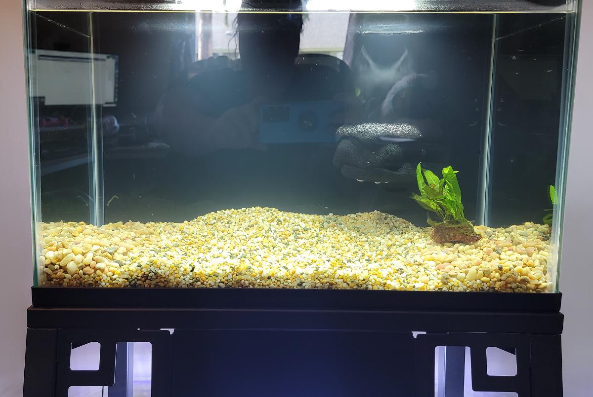 Office - 10 gallon on February 8, 2023