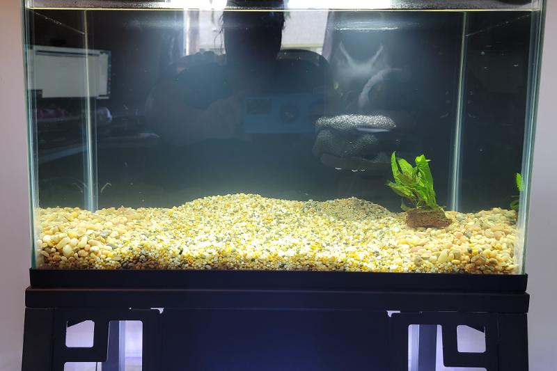 Office - 10 gallon Thumbnail