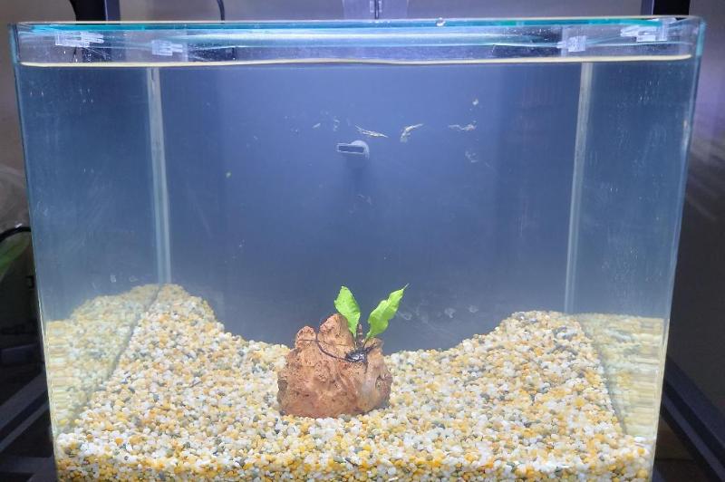 Office - 06.8 Gallon Thumbnail
