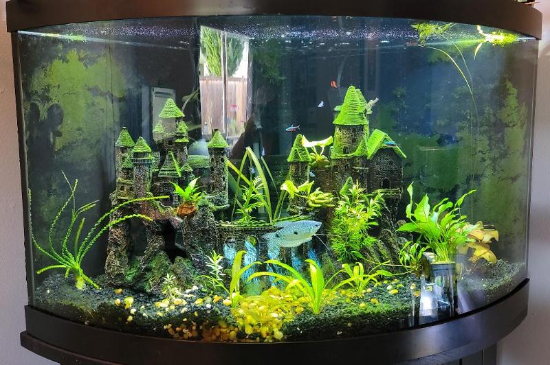 Office - 54 gallon Thumbnail