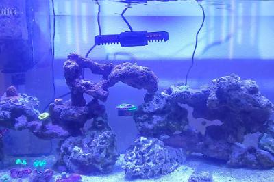salt tank on Feb 13, 2023