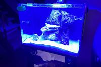 Mini reef on Feb 23, 2023