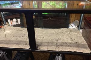 75 Gallon on February 27, 2023