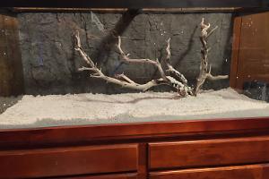 75 Gallon on February 27, 2023