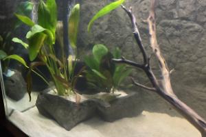 75 Gallon on February 27, 2023