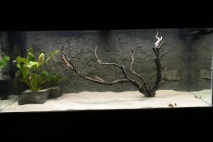 75 Gallon on February 27, 2023