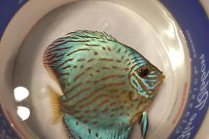 75 Gallon on February 27, 2023